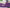 Radiant Purple - DIY Label template for body butter, dropper bottles, etc