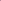 Blush Glamour