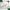 Minimalist Eucalyptus label template