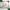 Green Mist cosmetic branding template