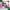 DIY Jasmine Glow Product label template collection canva